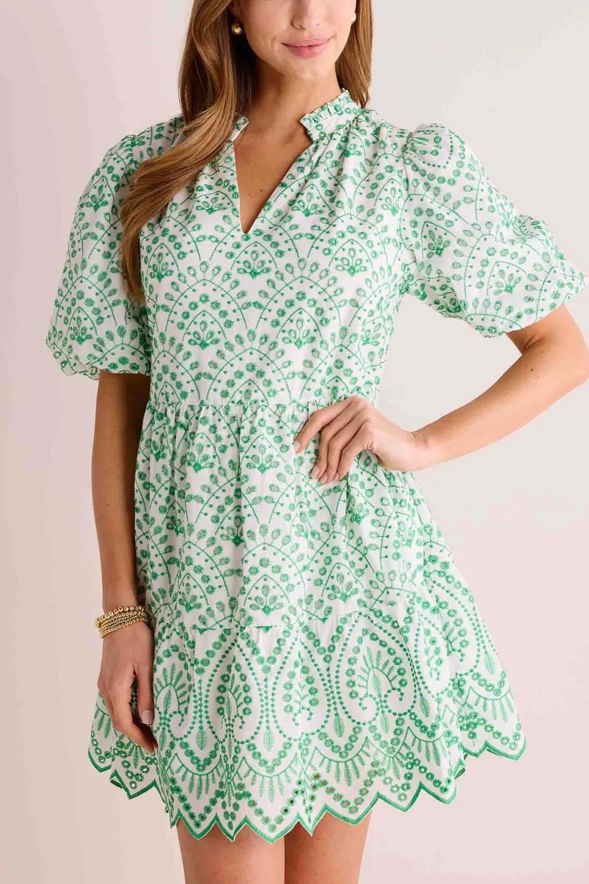 Allover Eyelet Embroidery Puff Sleeve Dress