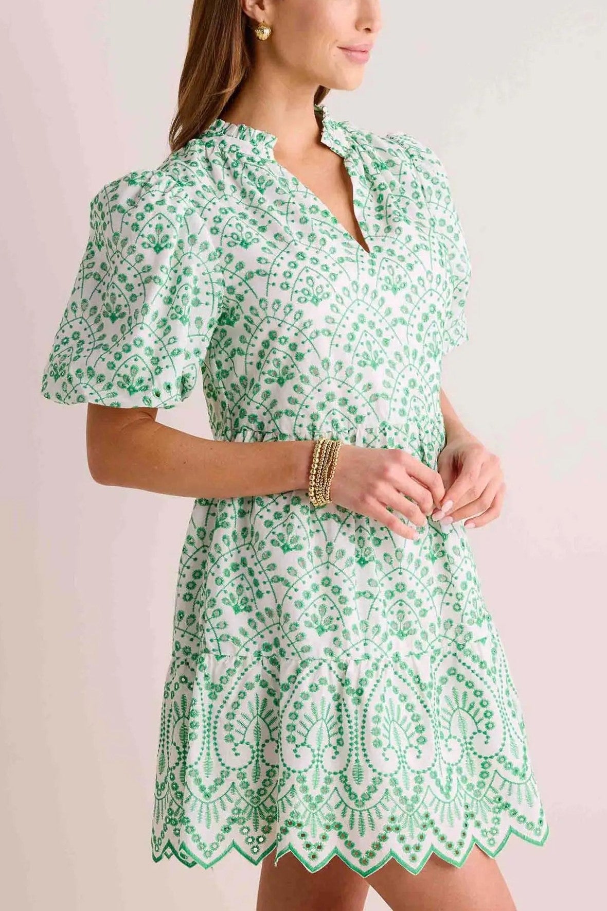 Allover Eyelet Embroidery Puff Sleeve Dress