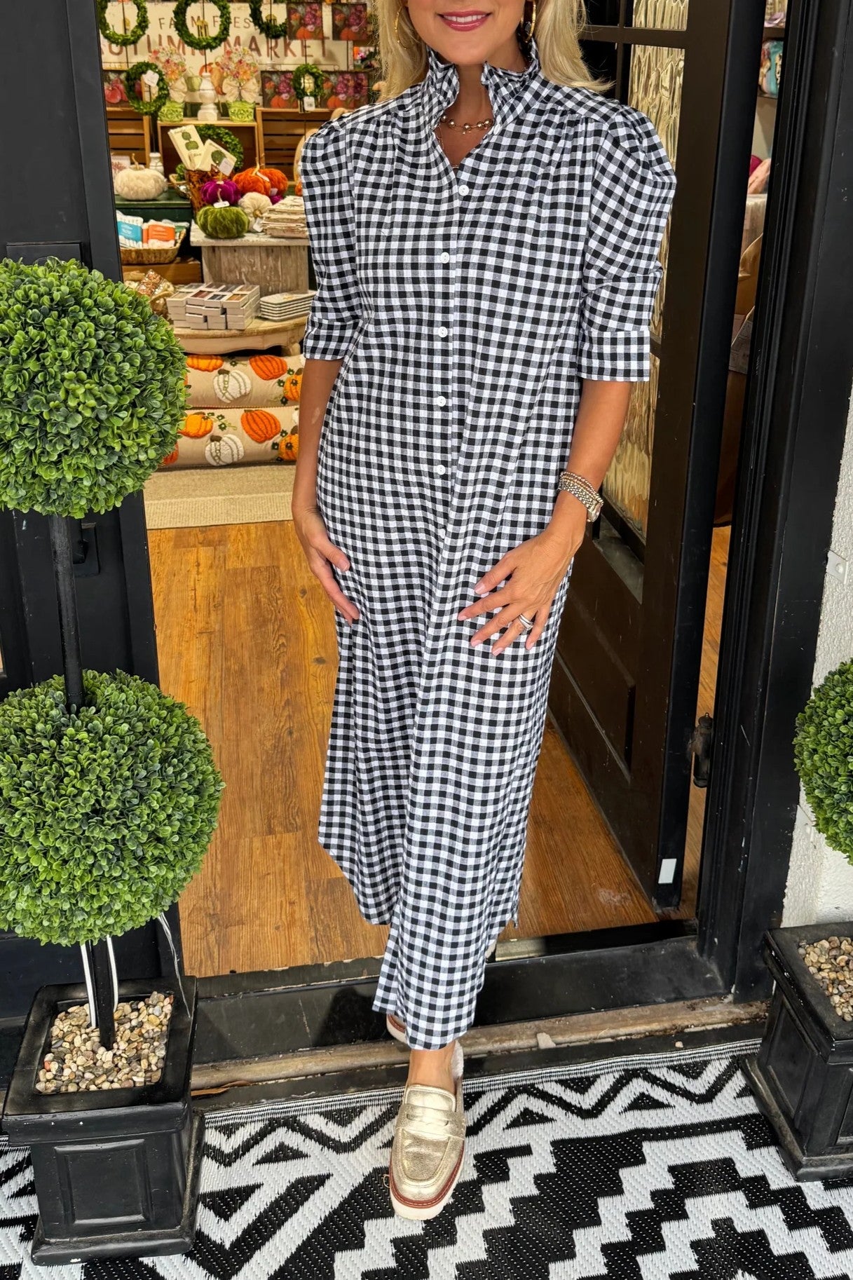 Classic Gingham Collared Dress