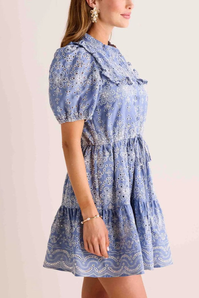 Marcella Eyelet Embroidery Puff Sleeves Dress