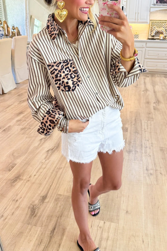 Brown Leopard Print Stripe Long Sleeve Top