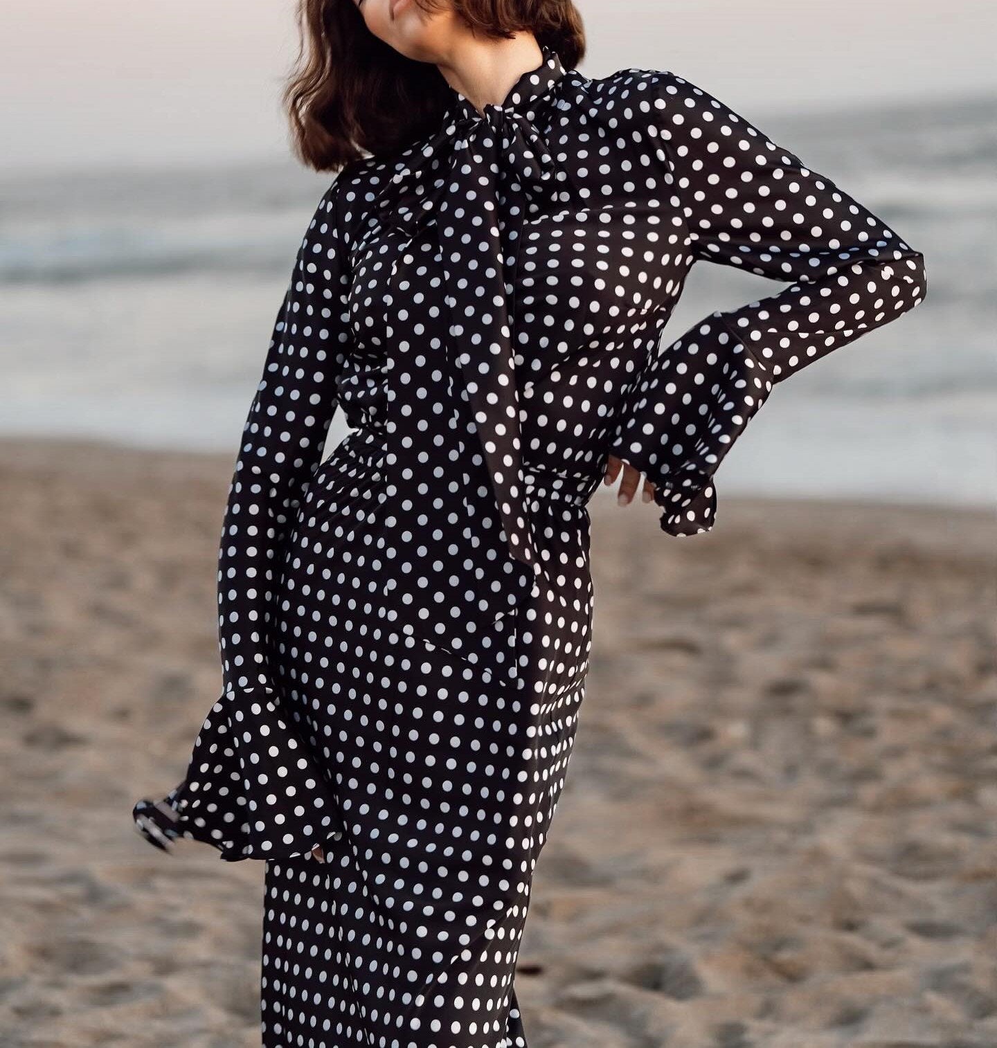 Black Polka Dot Elegant Long Sleeve Dress