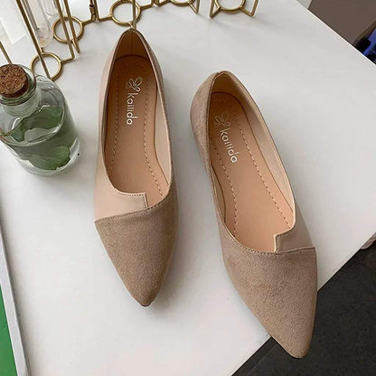 Pointed Toe Flats